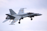 McDonnell Douglas EF-18M Hornet